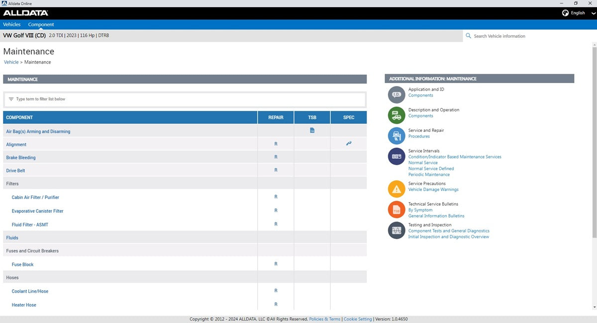 AllData USA/Europe/USA + Europe 2025 Online 1 month and 1 year - 4